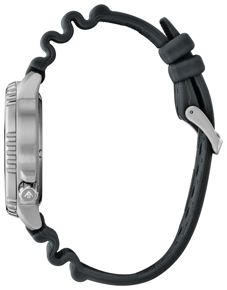 Citizen Eco-Drive - Promaster Divers - Limited Edition - Image 3